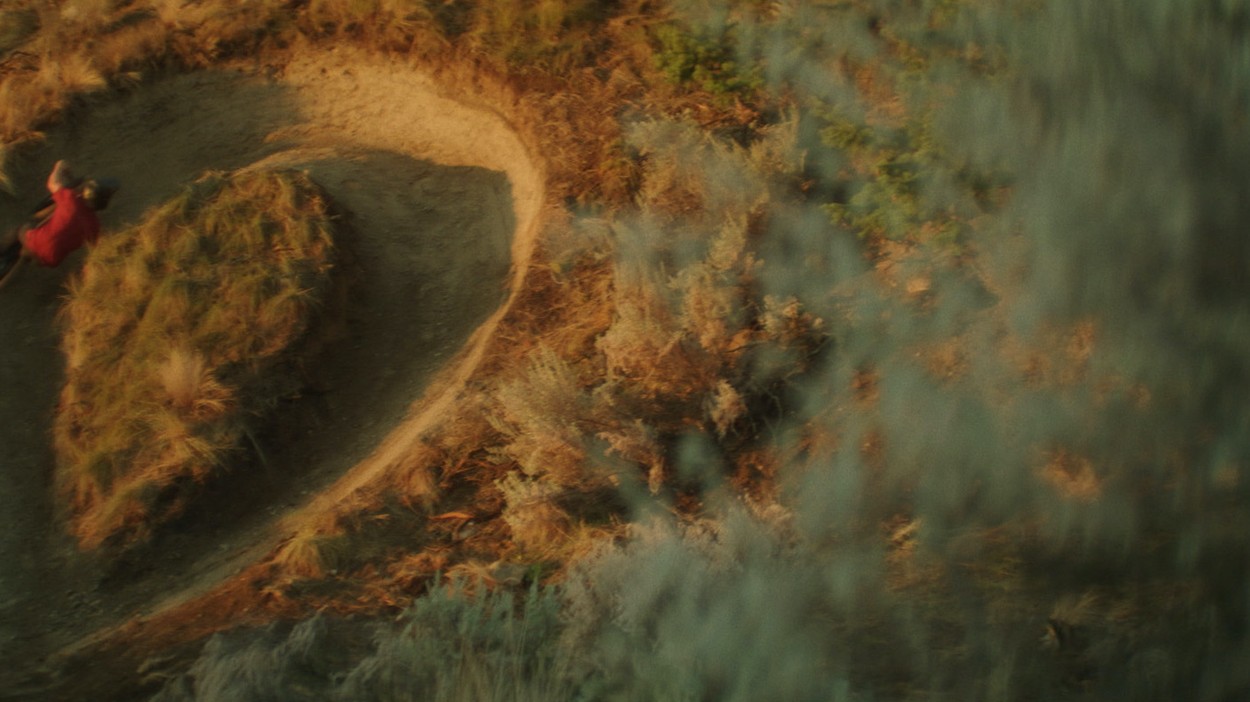 Stumpjumper EVO Ad 2020 - 6