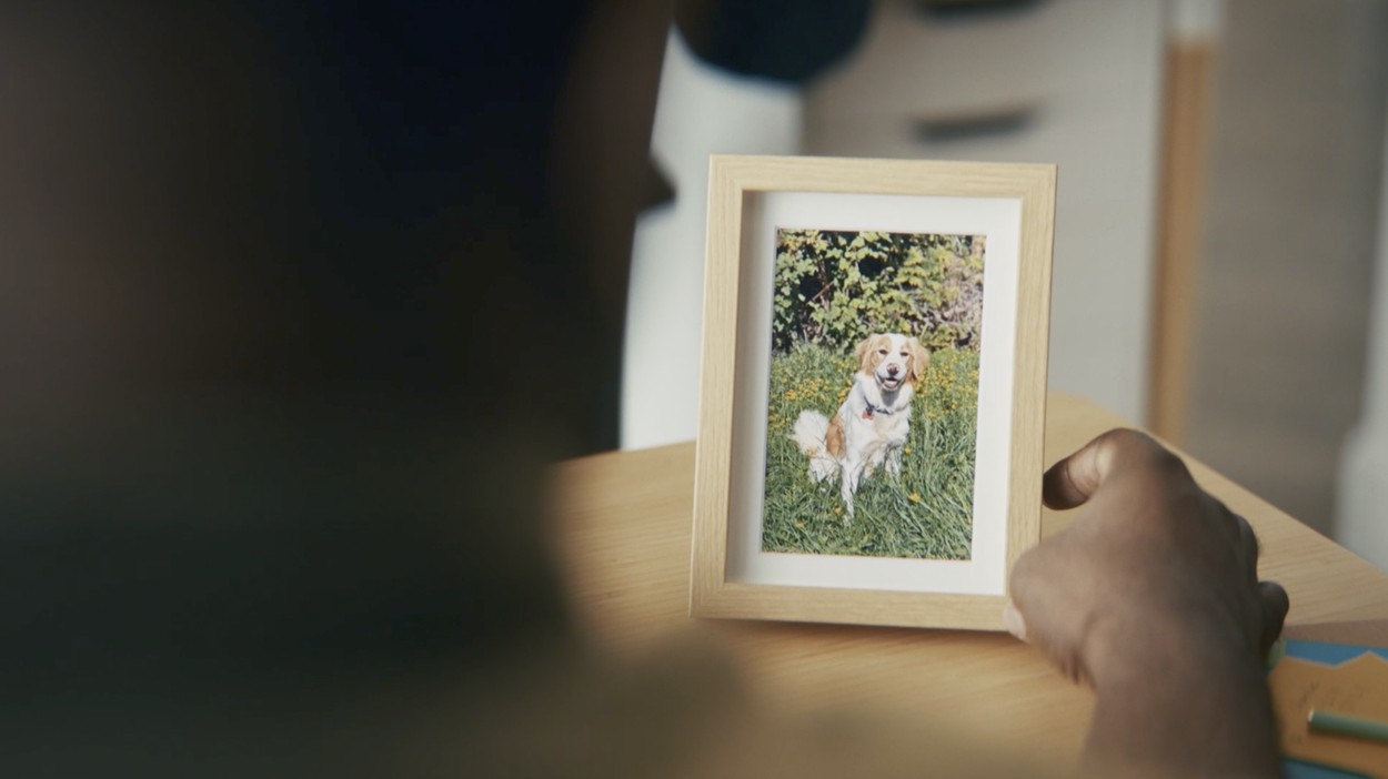Petcurean - Go! Solutions - Itch 1