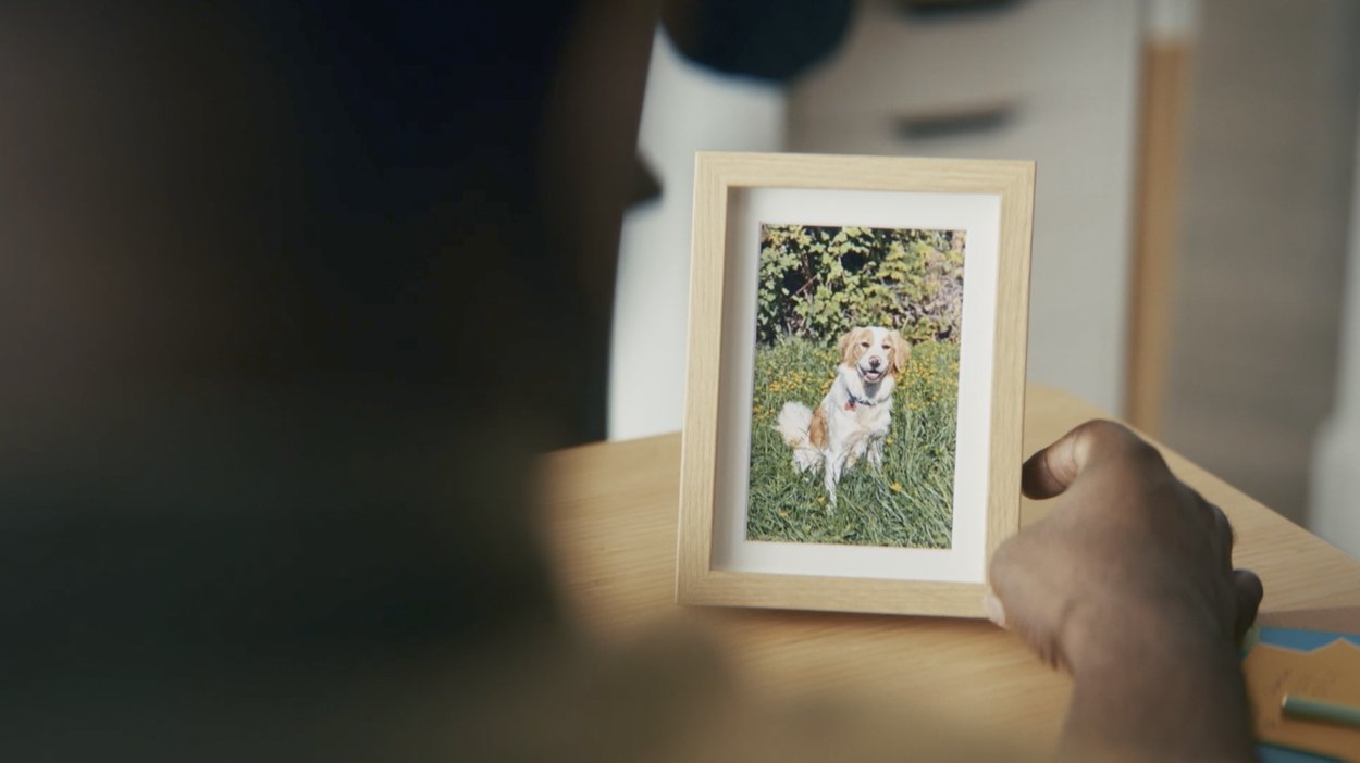 Petcurean - Go! Solutions - Itch 1