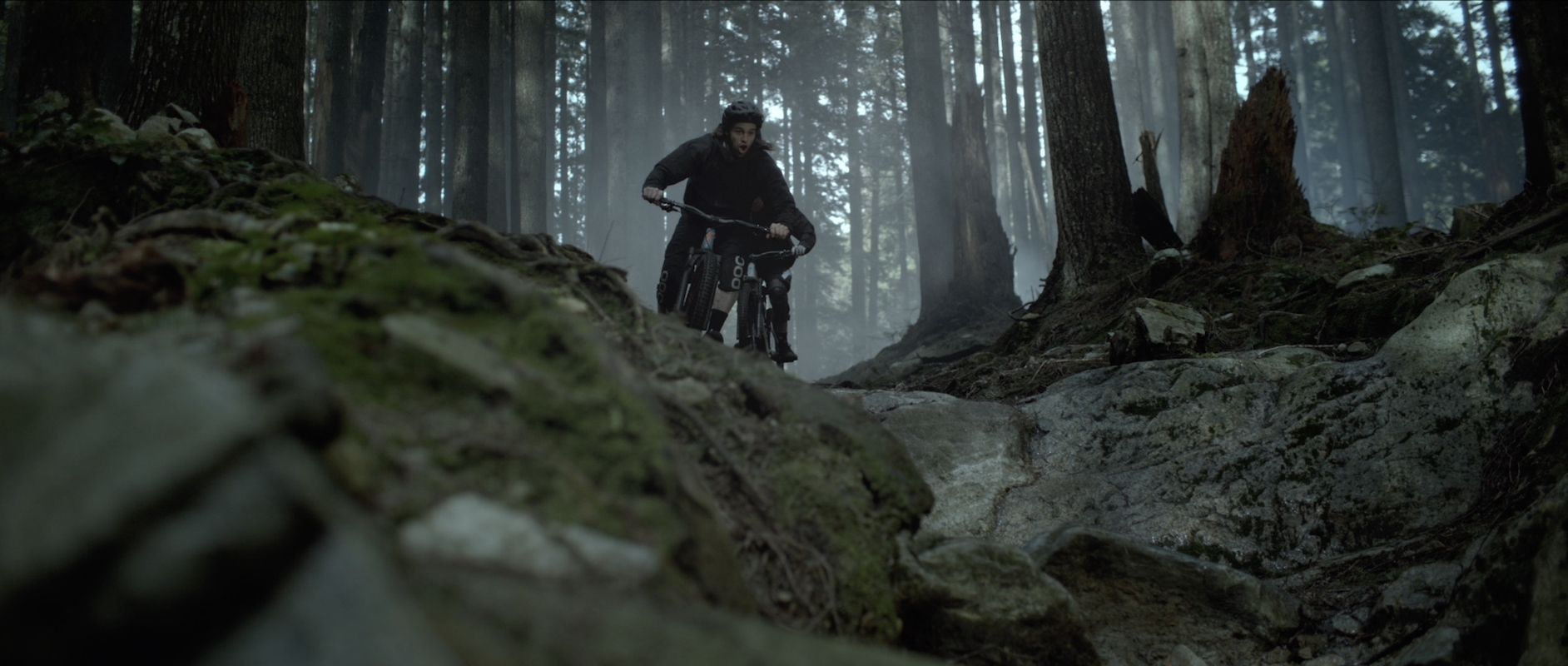 All-New Stumpjumper thumbnail