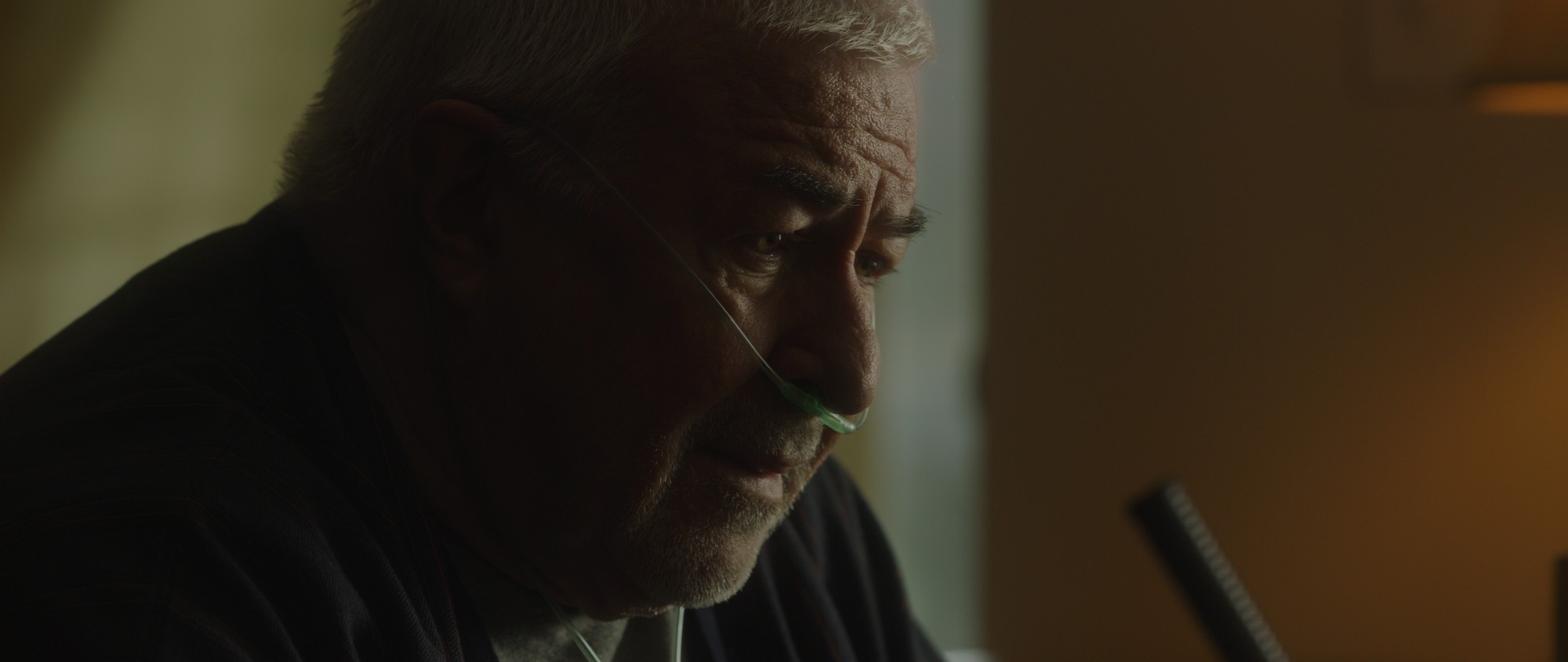 24 Piedmont Drive - Jim Byrnes as Bernard
