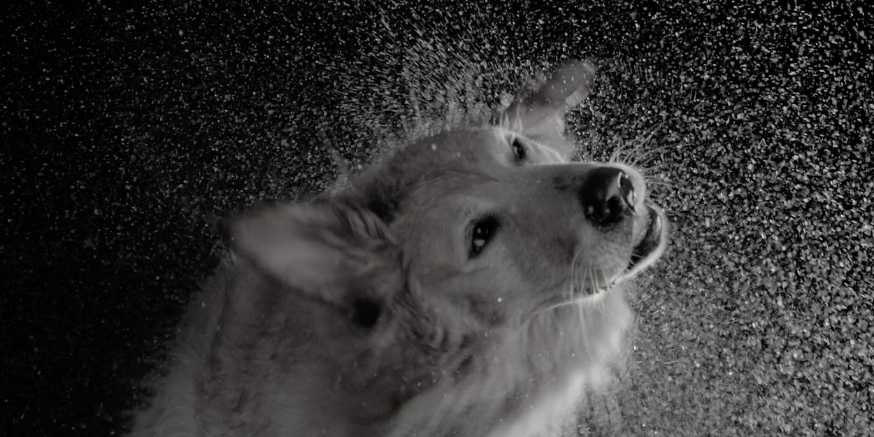 Feeling Good Feels Good