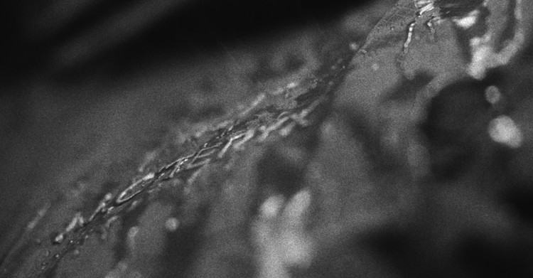Arc'teryx - FW23 - Boldly x Moment Factory - 3