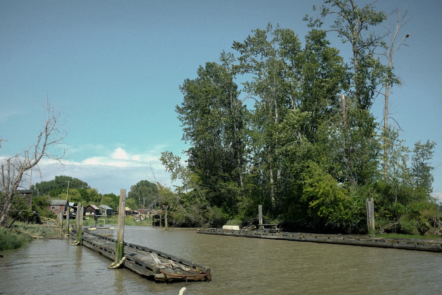 #30 Marsh, Delta #