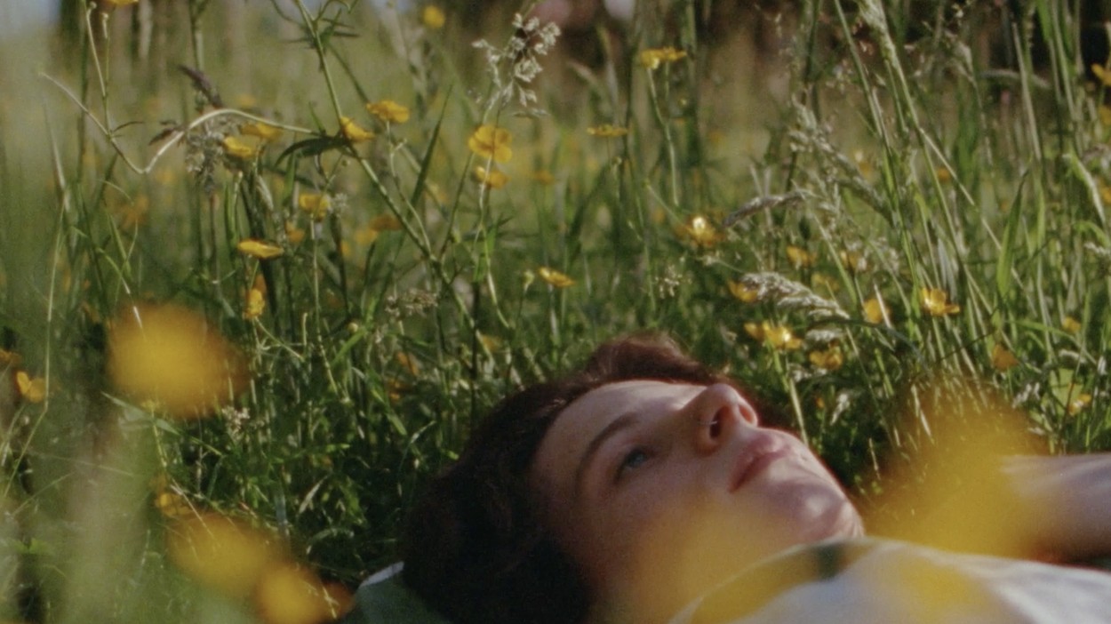 Limbic - a film by Jordan Findlay - 4