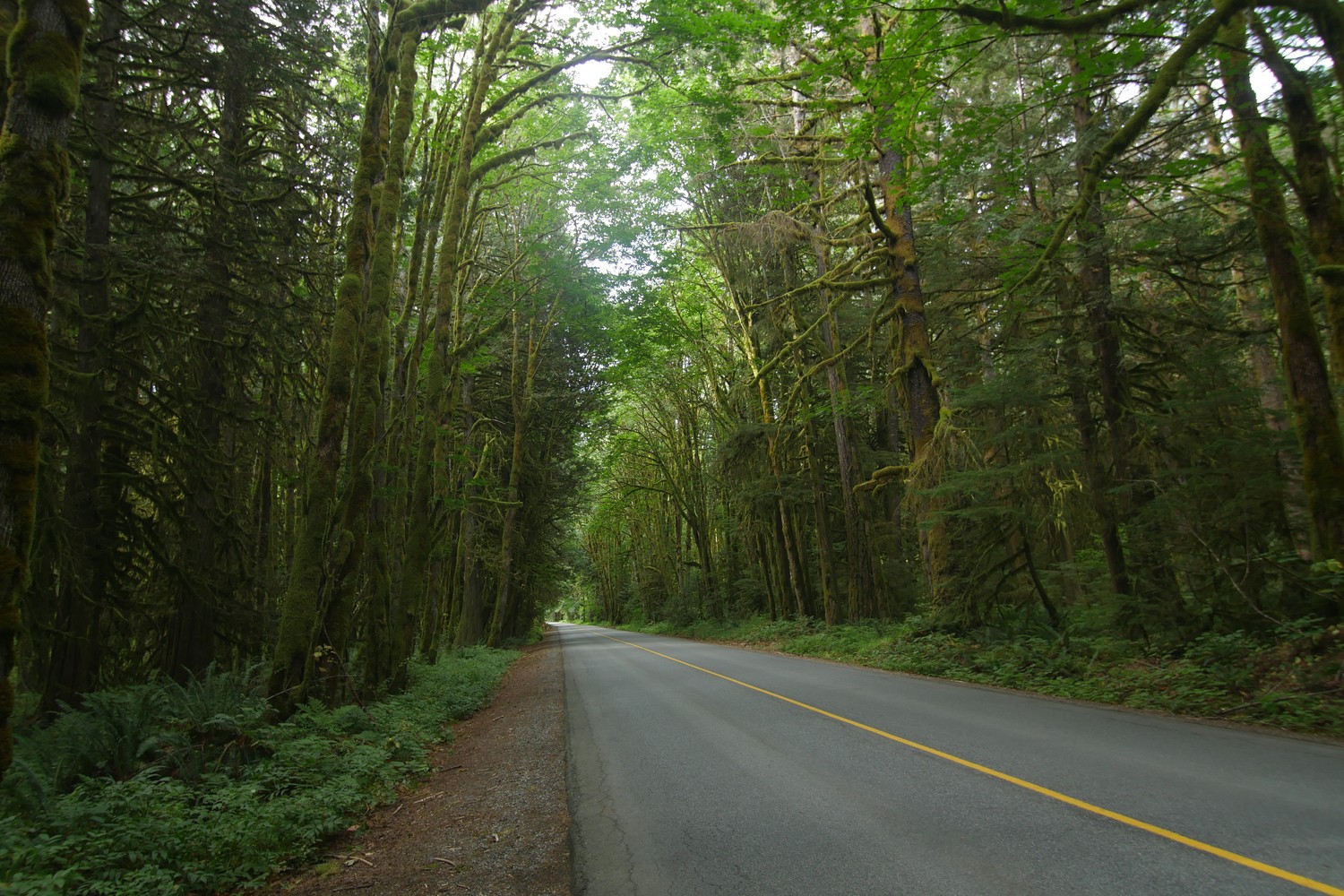#5 Paradise Valley Road - Squamish #