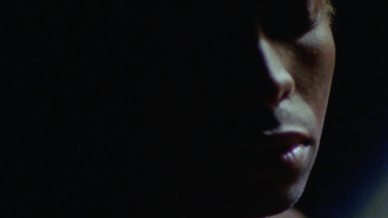 Limbic - a film by Jordan Findlay - 3