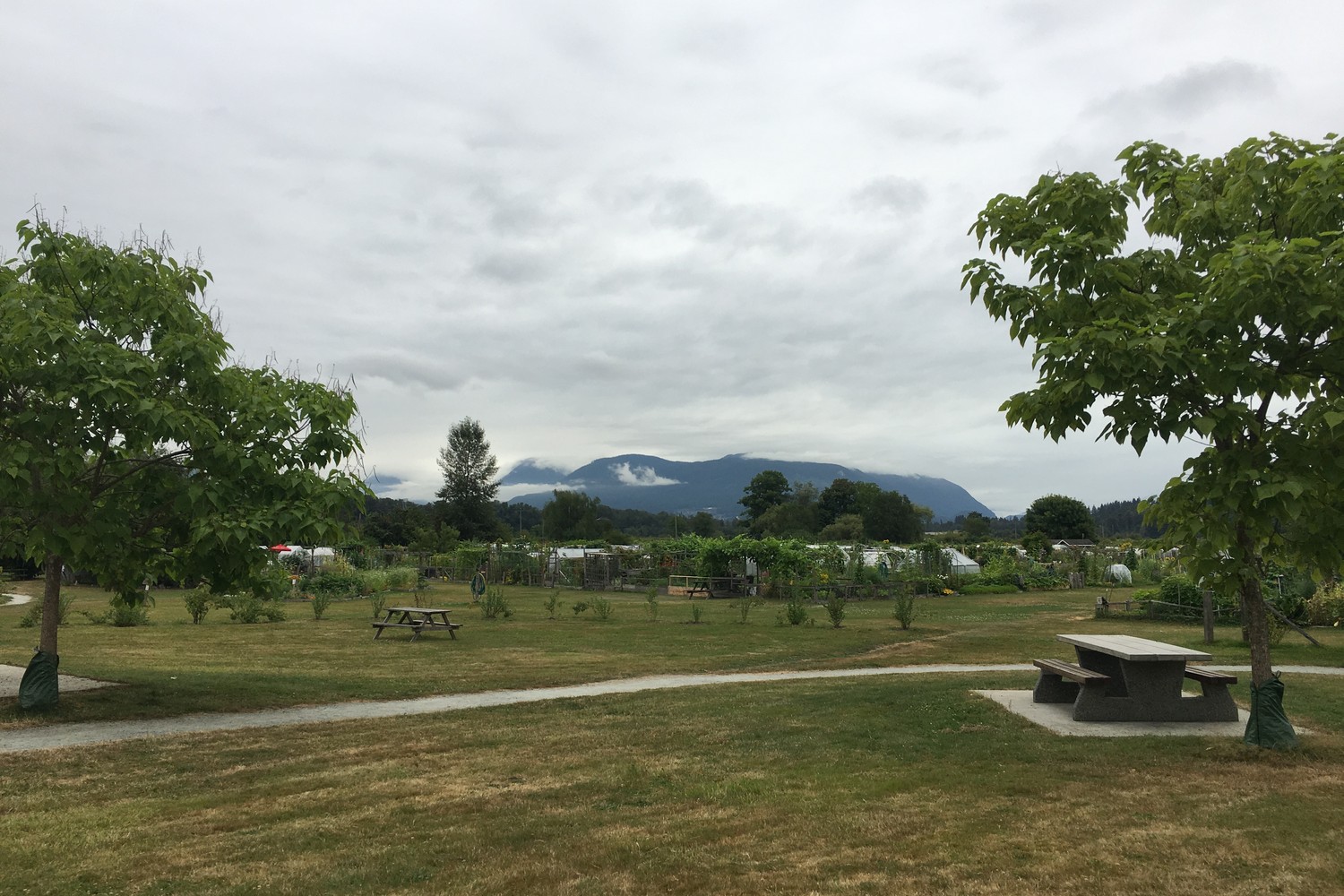 #6 Colony Farm – Coquitlam #