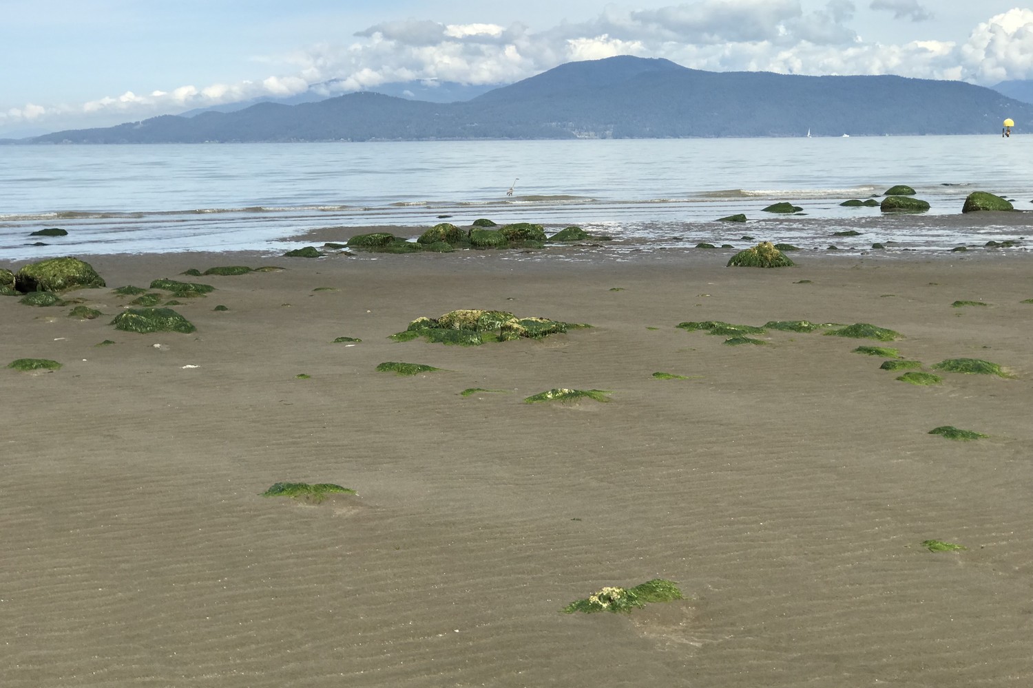 #28 Porteau Cove #
