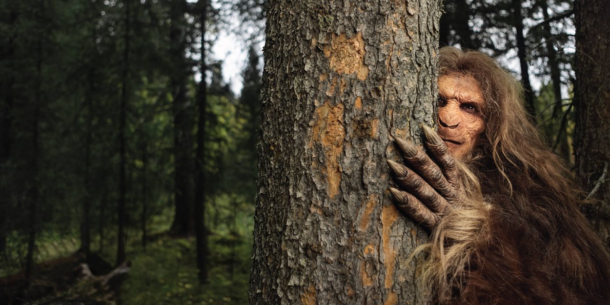 Alberta Forest Products Association