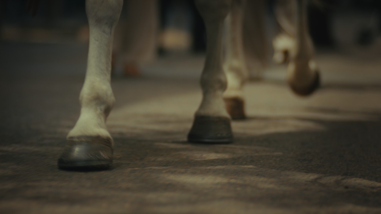 DoorDash - HorseDash - 2