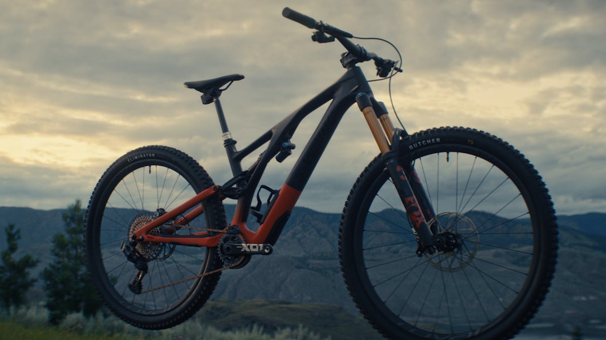 Stumpjumper EVO Ad 2020 - 5