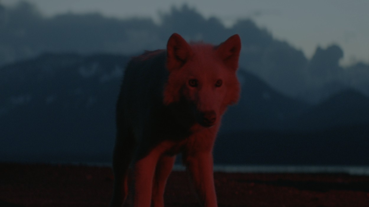 Dear Rouge - Chains 6