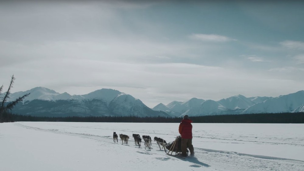 Cinematic landscape of the Yukon with winter dog sledding in foreground