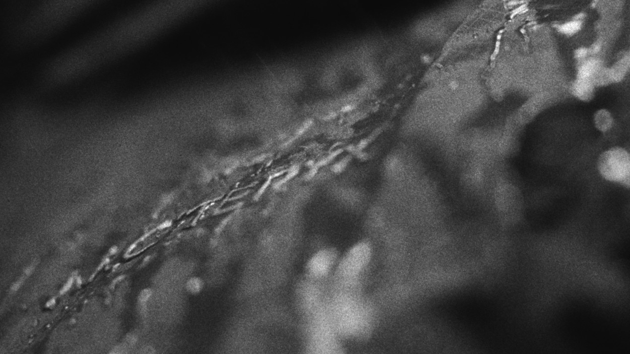 Arc'teryx - FW23 - Boldly x Moment Factory - 3