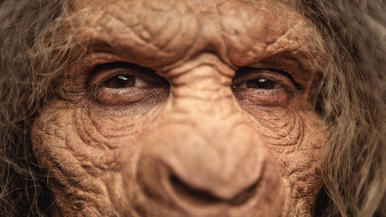 AFPA - Sasquatch - 2