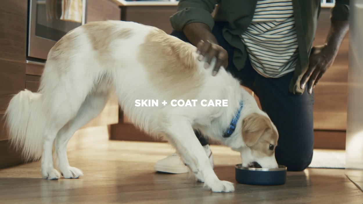 Petcurean - Go! Solutions - Itch 4
