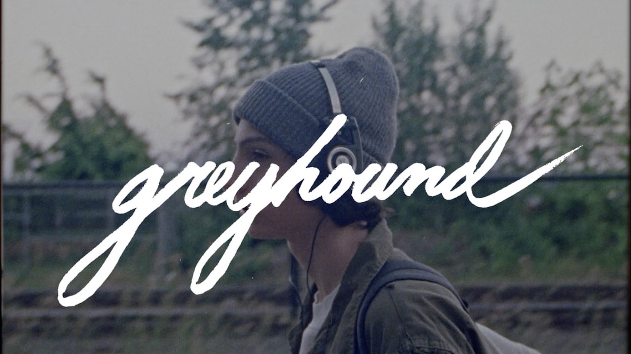 Calpurnia - Greyhound 2