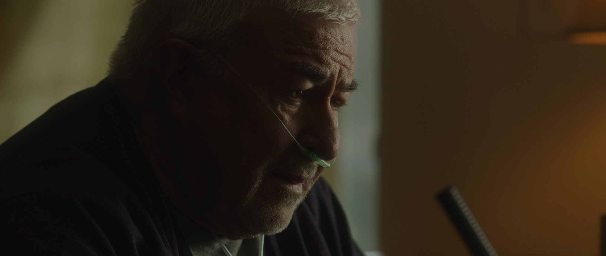24 Piedmont Drive - Jim Byrnes as Bernard