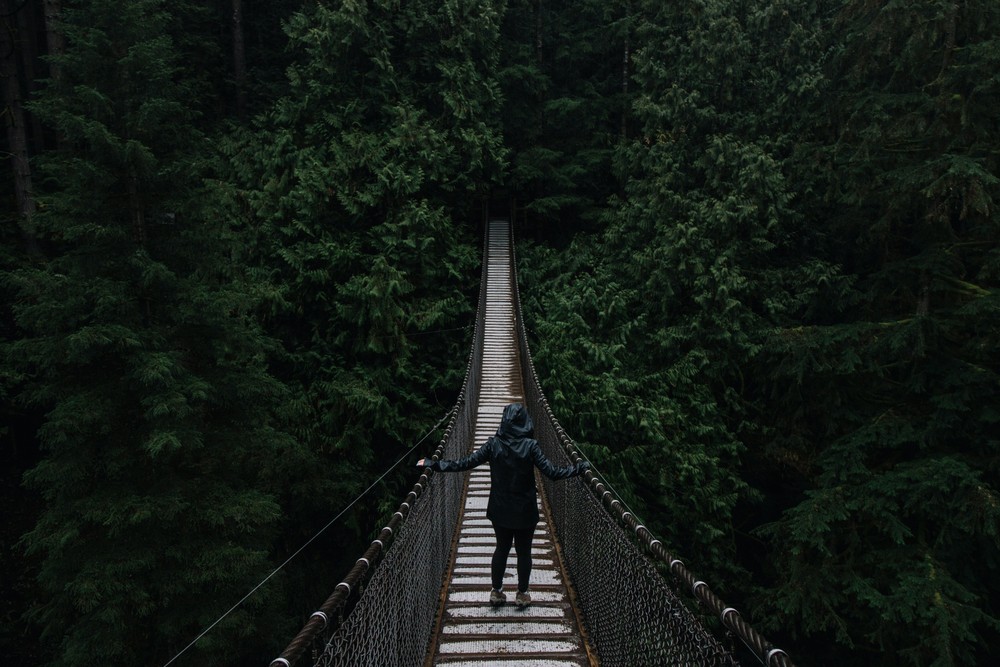 North Vancouver, BC - Forest and suspension bridge crossing